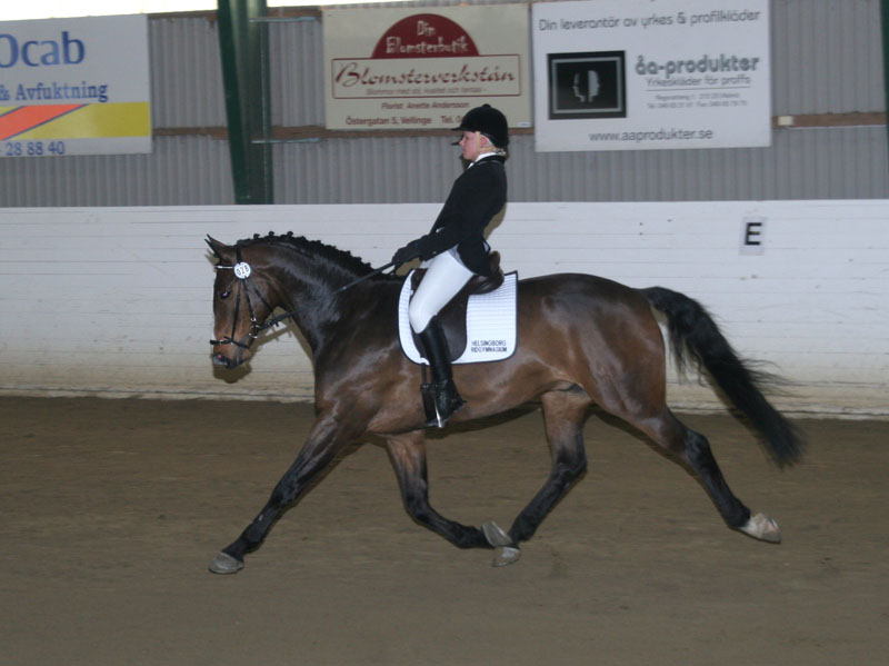 20080406_114728 Sanne Bohman Liberator N